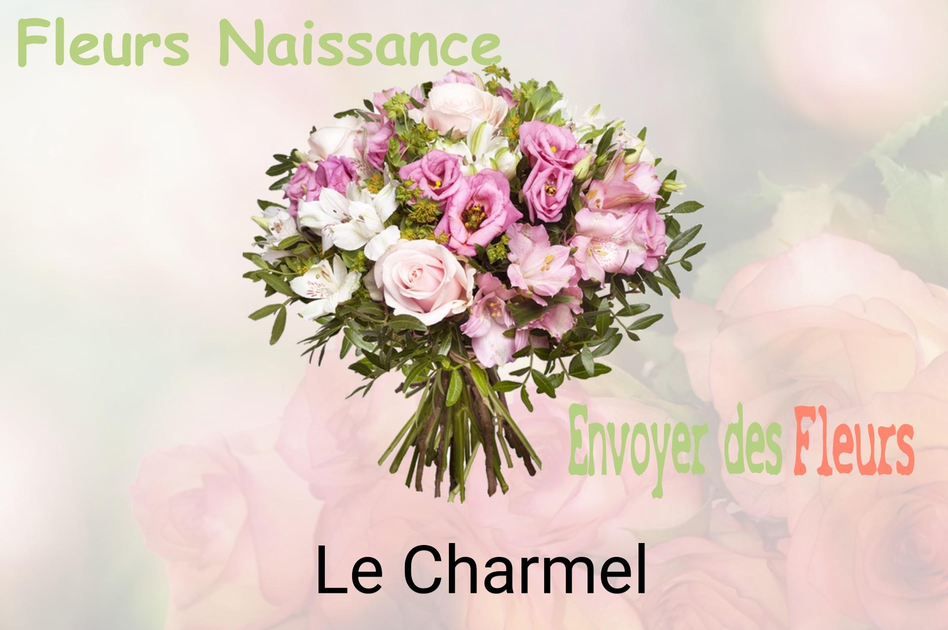 Bouquet de fleurs de naissance livré à Le Charmel